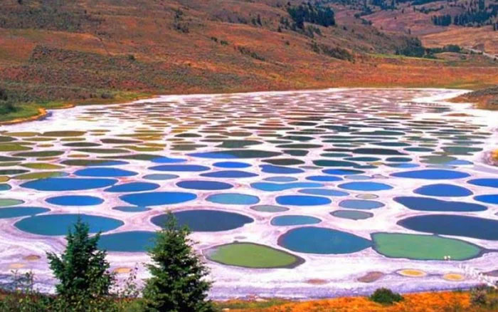 Tại sao hồ Polka Dot của Canada có thể là một hồ bơi có khả năng chữa bệnh?