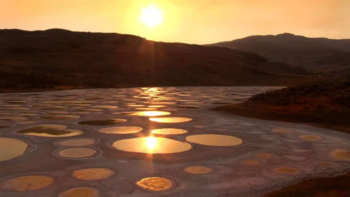 Tại sao hồ Polka Dot của Canada có thể là một hồ bơi có khả năng chữa bệnh?