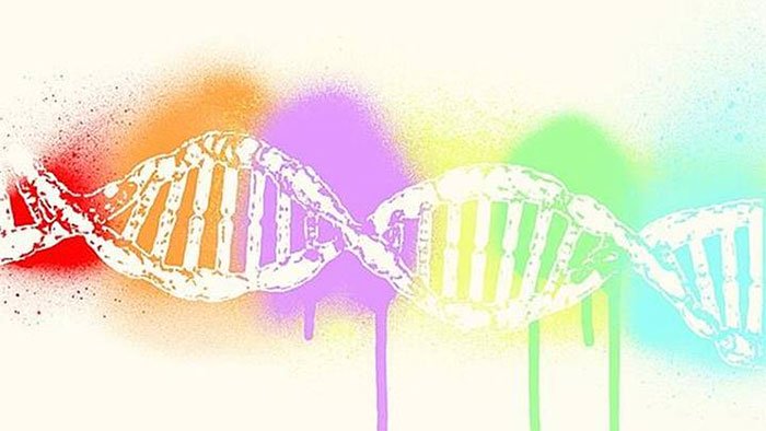 Tại sao máu khô lại được chọn để tách chiết ADN?