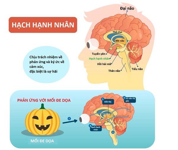 Tại sao một số âm thanh làm cho chúng ta nổi da gà?