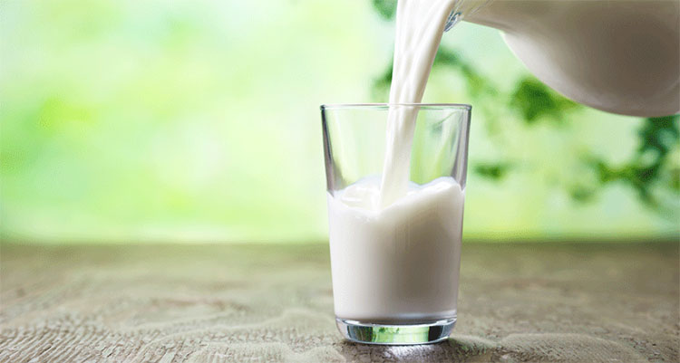 Tại sao người châu Á khó hấp thụ sữa hơn những chủng tộc khác?