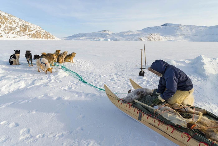 Tại sao người Inuit lại có tập tục trao đổi vợ?