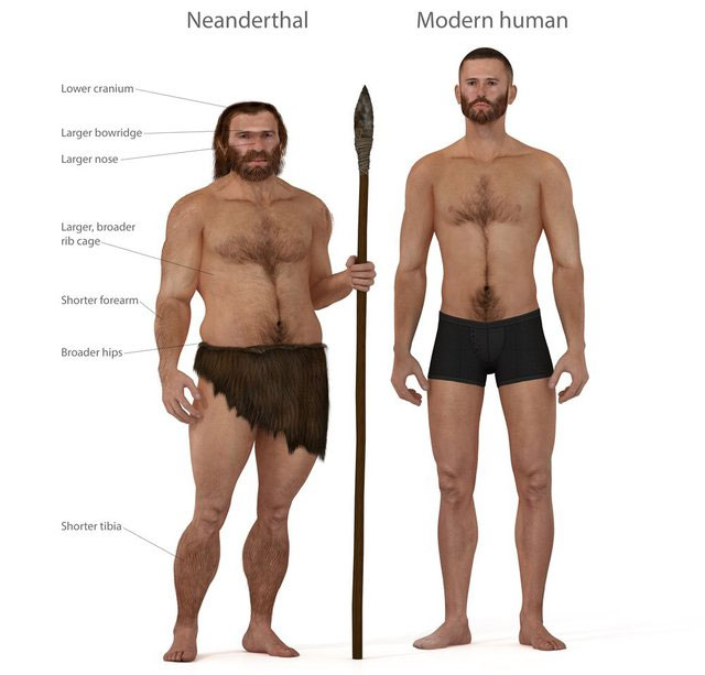 Tại sao người Neanderthal lại thất bại trong cuộc chiến sinh tồn?