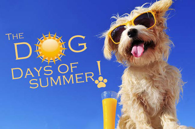 Tại sao những ngày nóng rẫy tháng 7 gọi là những ngày chó?