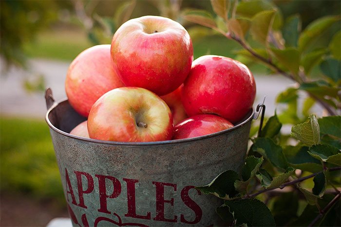 Tại sao quả táo có thể để được 10 tháng mà không hỏng?