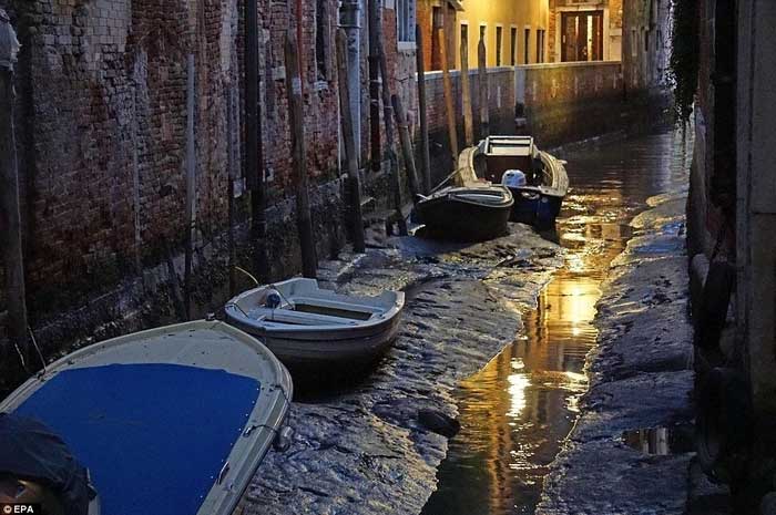Tại sao “thành phố nổi” Venice gần 2.000 năm vẫn đứng vững dù xây bằng nền gỗ?