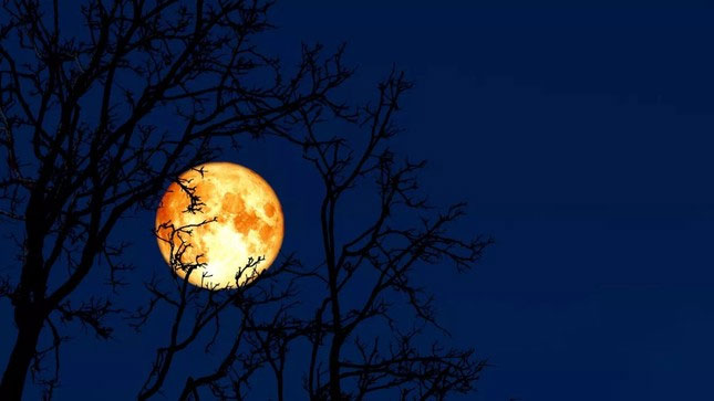 Tại sao trăng rằm tháng 2 được gọi là Trăng giun?