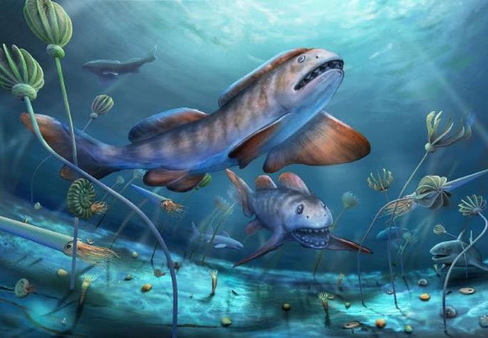 Tái sinh quái ngư răng cánh hoa 290 triệu tuổi, tổ tiên bóng ma đại dương