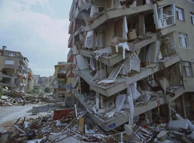 Thảm họa sau động đất lịch sử ở Thổ Nhĩ Kỳ: Hàng triệu con sâu róm đổ bộ, hình ảnh khiến ai cũng rùng mình