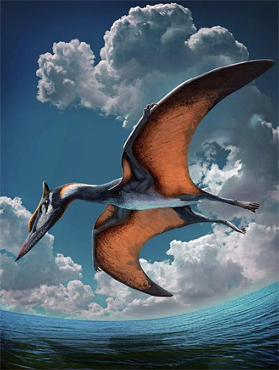 Thằn lằn cổ đại đã phát triển khả năng bay như thế nào?