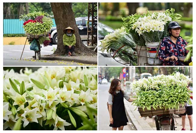 Tháng tư về, hoa loa kèn tinh khôi xuống phố Hà Nội