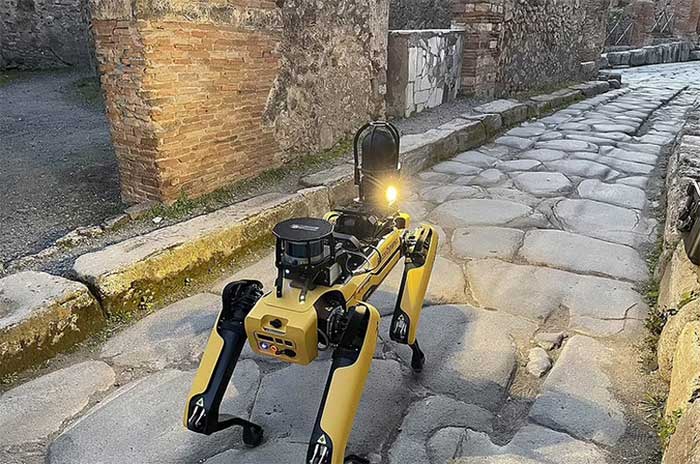 Thành phố cổ Italy tuyển robot chó để chống kẻ săn trộm