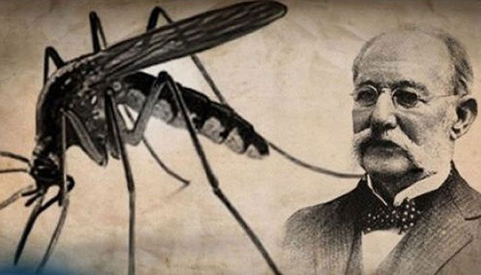Thế giới đã tìm ra cách chữa bệnh sốt vàng da như thế nào?