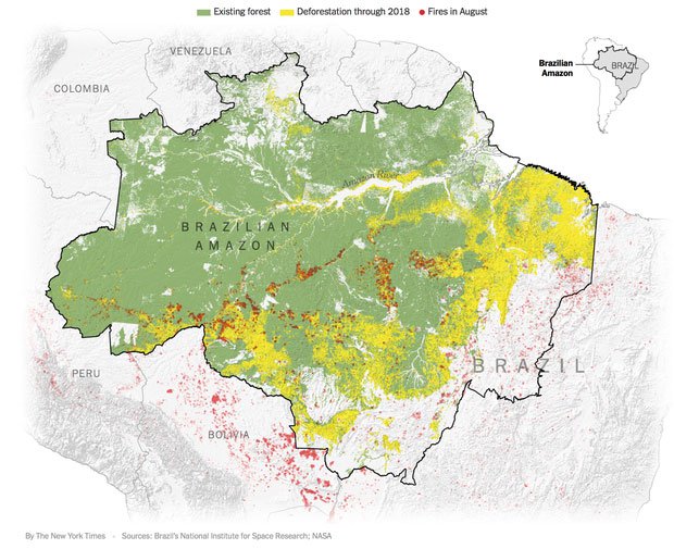 The New York Times: Phân tích ảnh vệ tinh đã chỉ ra chính xác thủ phạm gây cháy rừng Amazon