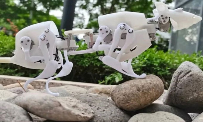 Thiết kế mẫu chuột robot tìm người sống sót ở vùng thiên tai