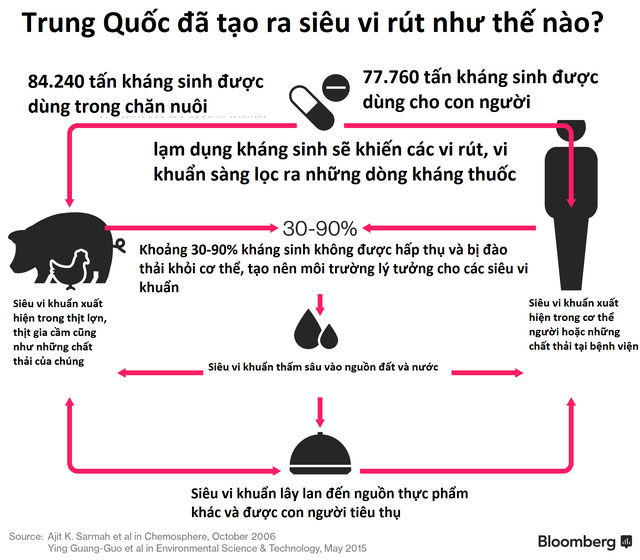 Thịt lợn tiêm kháng sinh Trung Quốc và những hệ luỵ khiến thế giới lo sợ