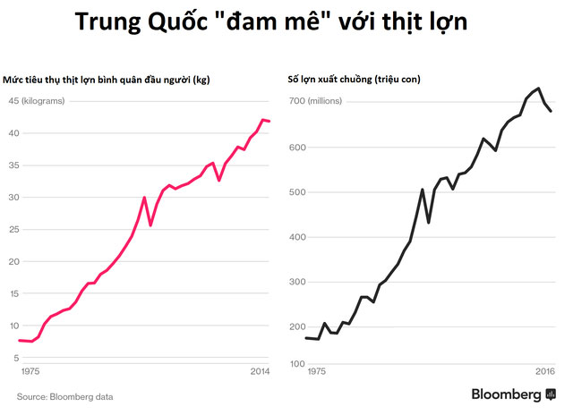 Thịt lợn tiêm kháng sinh Trung Quốc và những hệ luỵ khiến thế giới lo sợ