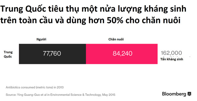 Thịt lợn tiêm kháng sinh Trung Quốc và những hệ luỵ khiến thế giới lo sợ