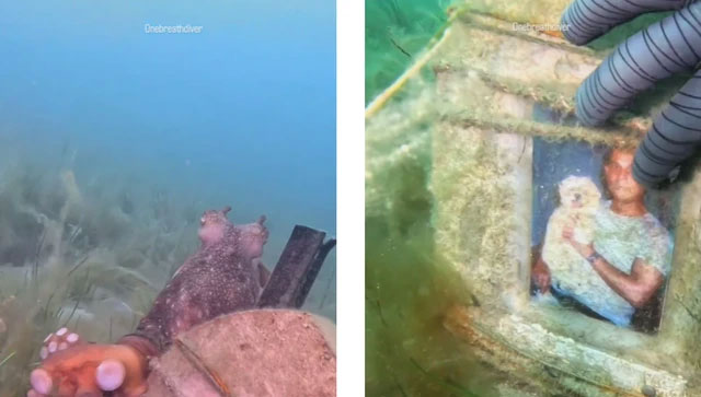 Thợ lặn rợn người khi bị bạch tuộc dẫn đến bia mộ dưới đáy biển