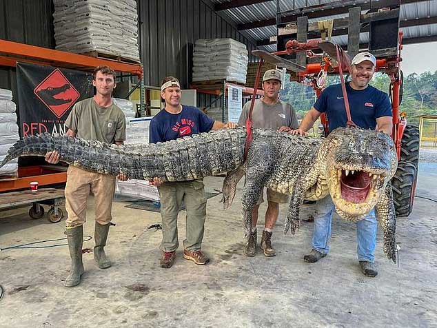 Thợ săn bắt được cá sấu quái vật tại Mississippi