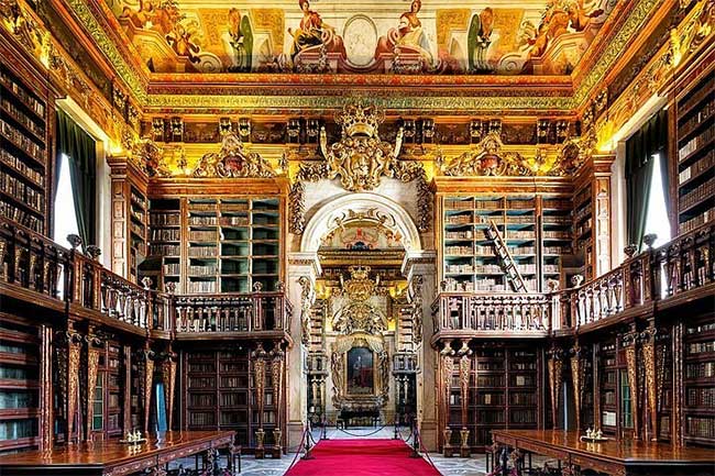 Thư viện đẹp nhất thế giới dùng dơi để bảo tồn những cuốn sách và bản thảo cũ