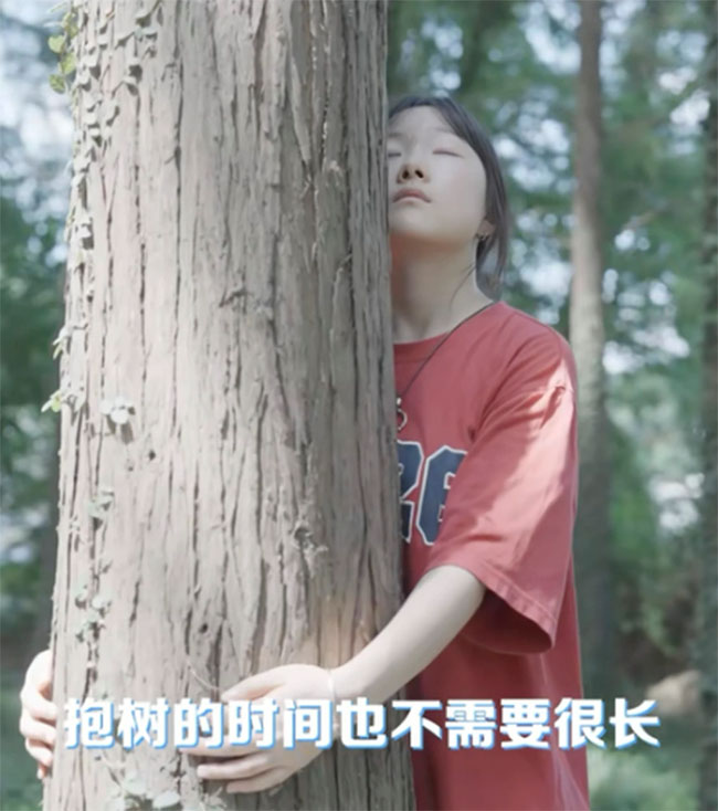 Thực hư liệu pháp ôm cây để giảm bớt căng thẳng của giới trẻ Trung Quốc