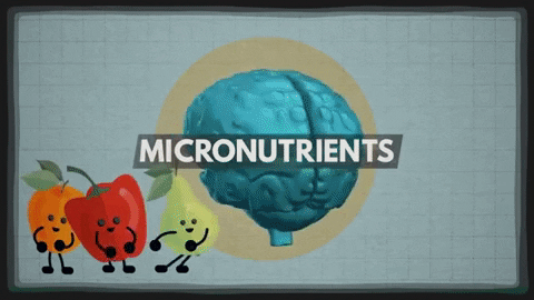 Thực phẩm hàng ngày tác động đến não như thế nào?
