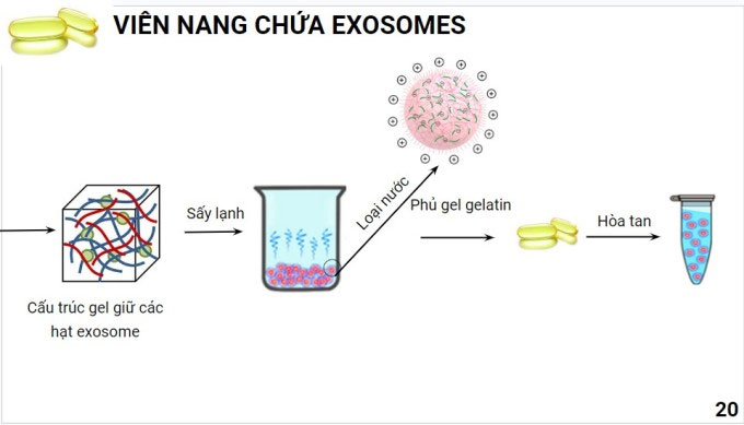 Thuốc điều trị đột quỵ thắng giải Sáng tạo tế bào gốc