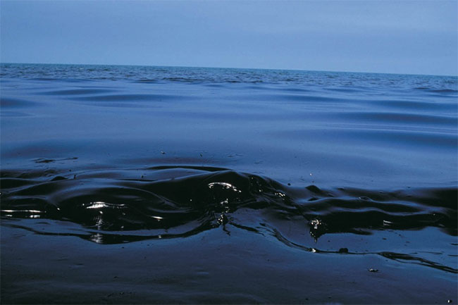 Thủy triều đen bí ẩn bóp nghẹt bờ biển hơn 4.400km của Brazil