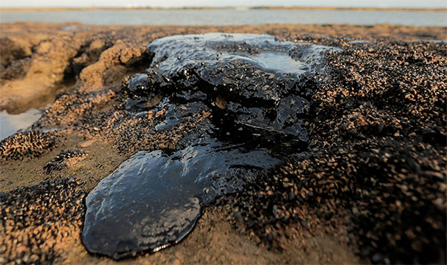 Thủy triều đen bí ẩn bóp nghẹt bờ biển hơn 4.400km của Brazil