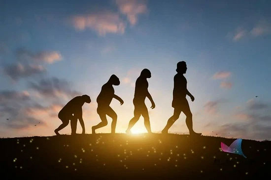 Tiến hóa càng nhanh thì tuyệt chủng càng nhanh?