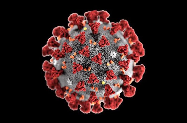 Tiến sĩ tại BV Nhi số 1 tại Mỹ phát hiện: Virus SARS-CoV-2 thay đổi hình dạng để qua mặt hệ miễn dịch!