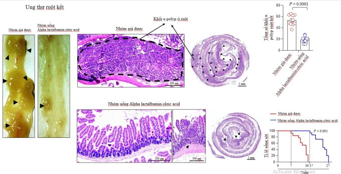 Tiến sĩ Việt phát triển công nghệ tạo thuốc diệt tế bào ung thư