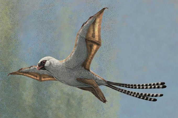 Tiết lộ lý do tuyệt chủng của hai chi khủng long có cánh