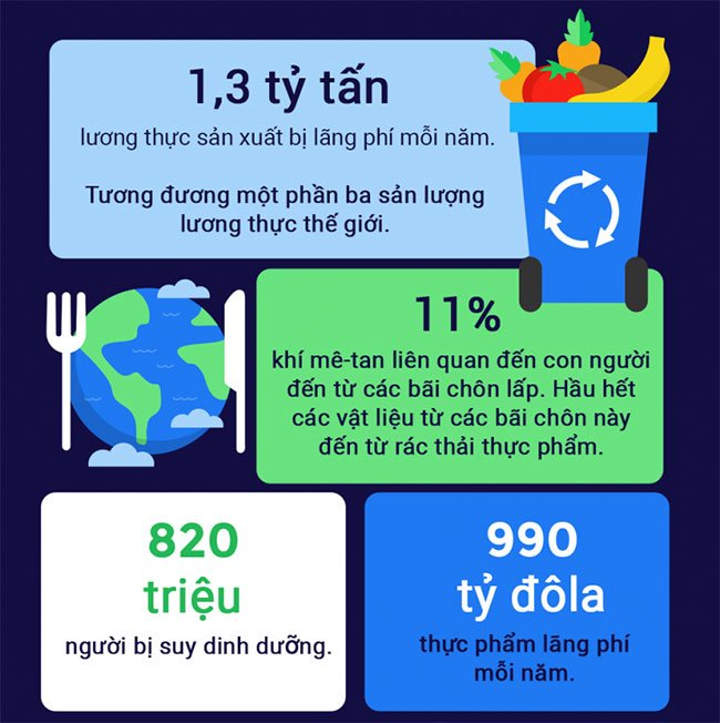 Tìm hiểu tình trạng lãng phí thực phẩm trên toàn thế giới