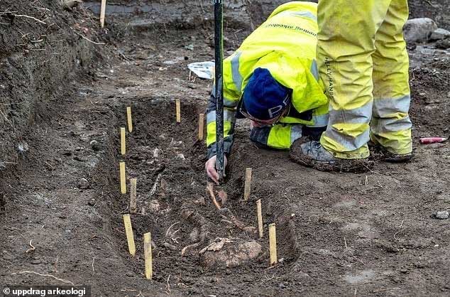 Tìm thấy 7 ngôi mộ 1.000 năm tuổi của người Viking ở Thụy Điển