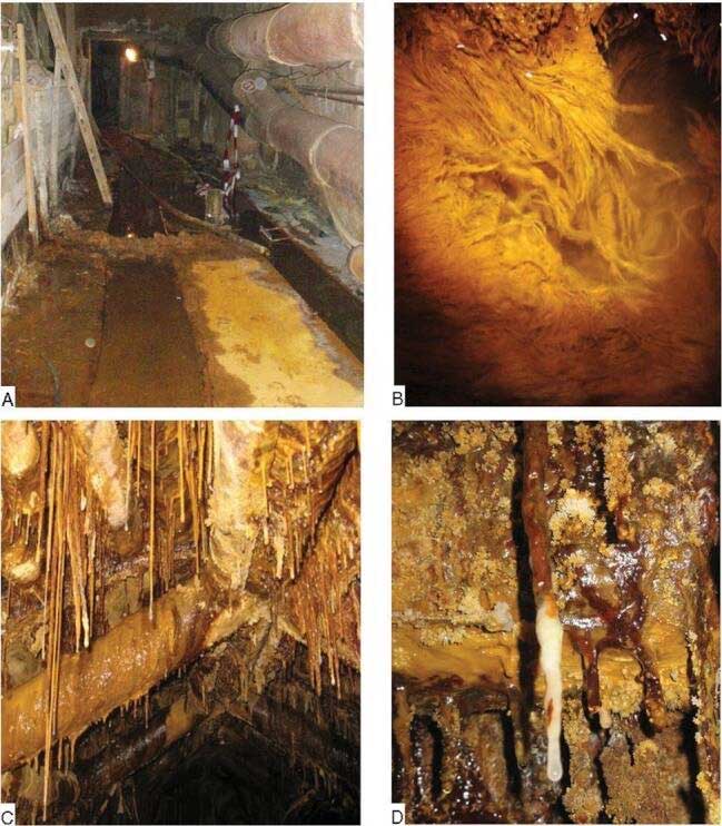 Tìm thấy các dạng sống ngoài hành tinh trong một mỏ Uranium bị bỏ hoang ở Đức