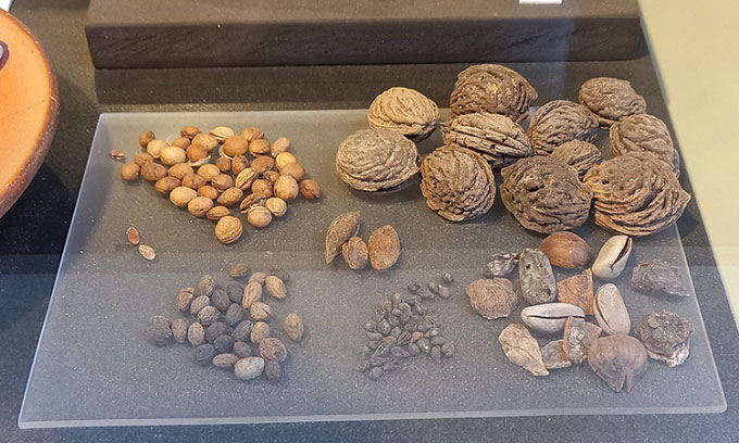 Tìm thấy đồ ăn nhẹ của khán giả trong Đấu trường La Mã 2.000 năm