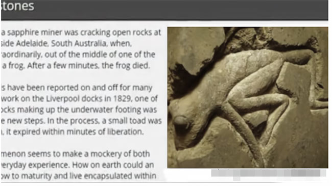 Tìm thấy ếch 2 triệu tuổi vẫn sống trong mỏ dầu: Chìa khóa trường sinh của loài người?
