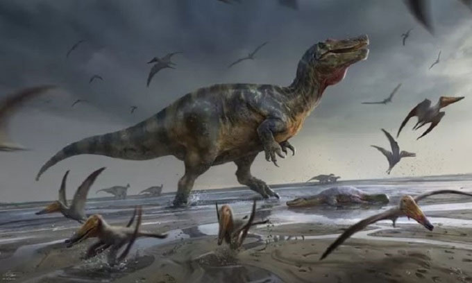 Tìm thấy hóa thạch khủng long mặt cá sấu dài hơn 10m
