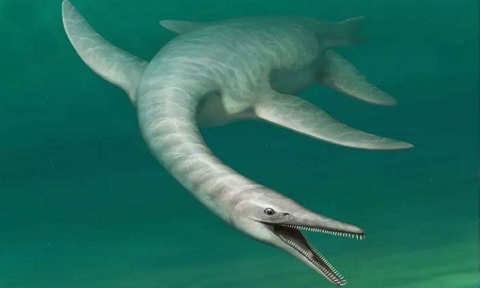 Tim thấy hóa thạch quái vật mình rắn mặt cá sấu cổ đại