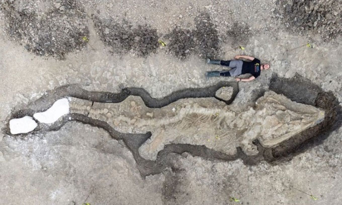 Tìm thấy hóa thạch rồng biển 180 triệu năm tuổi dài hơn 10m
