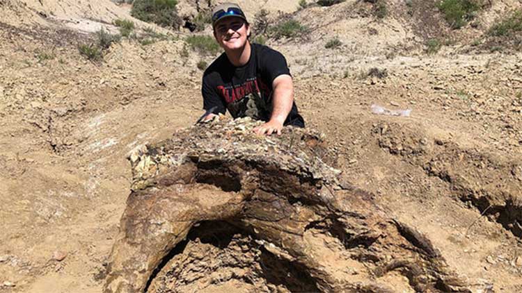 Tìm thấy hộp sọ khủng long có niên đại tới 65 triệu năm tại Mỹ