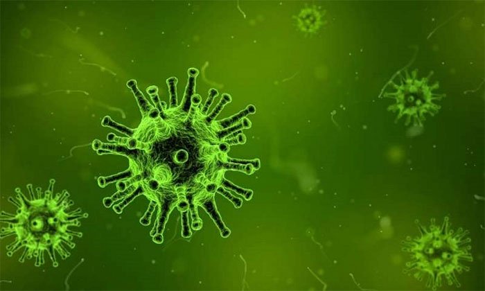 Tìm thấy protein khắc tinh của nhiều loại virus