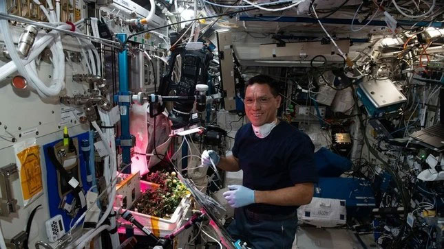 Tìm thấy quả cà chua mất tích suốt 8 tháng trên trạm vũ trụ ISS