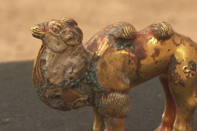 Tìm thấy tượng lạc đà bằng vàng nguyên khối gần lăng mộ Tần Thủy Hoàng