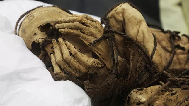 Tìm thấy xác ướp bị trói tay trong mộ cổ hơn 1.000 năm tuổi ở Peru