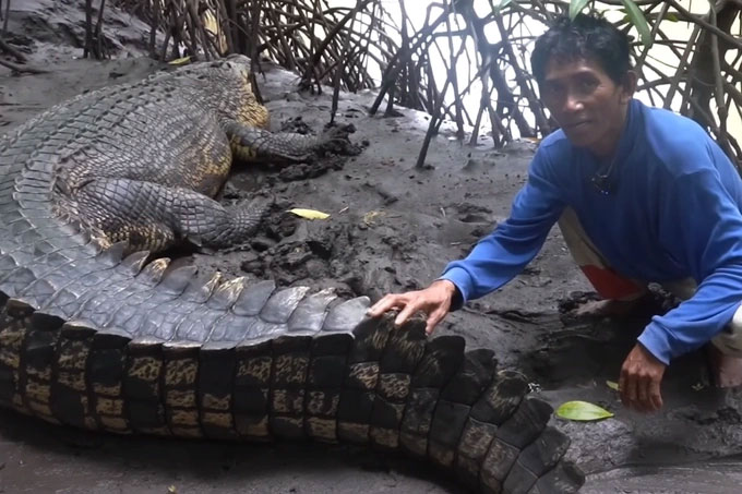 Tình bạn kỳ lạ của một ngư dân và con cá sấu dài 4 mét