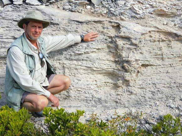 Tổ quái thú hóa đá tiết lộ bí ẩn giống loài 115 triệu năm vẫn sống khỏe