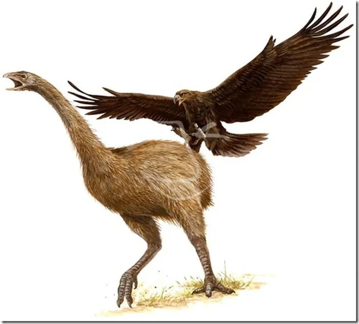 Top 10 loài chim tiền sử hung ác nhất trên đời